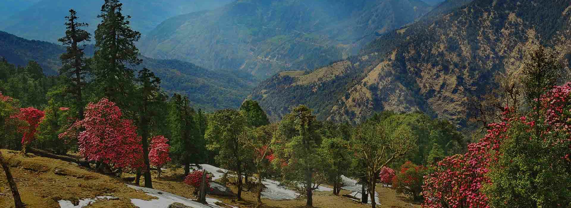 Uttarakhand Tour Packages For 7 Nights And 8 Days 